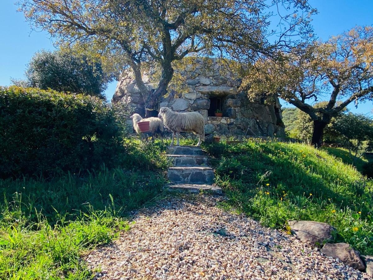 Il Nuraghe Del Lago Coghinas Bed & Breakfast Oschiri Exterior photo