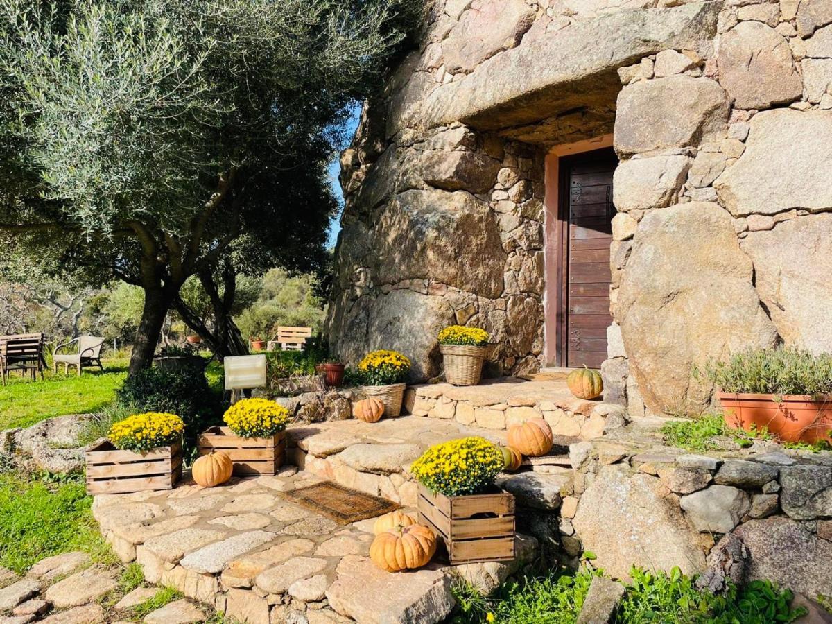 Il Nuraghe Del Lago Coghinas Bed & Breakfast Oschiri Exterior photo